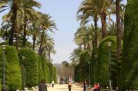 04 Cadiz - Parque Genoves 1 