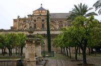 06 Cordoba - Hof der Orangenbaeume 2 